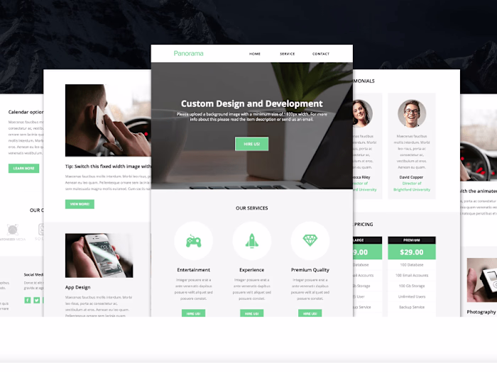 Business Website Customization and Enhancement