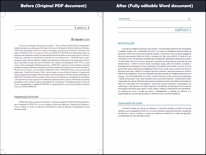 PDF Conversion & Document Formatting