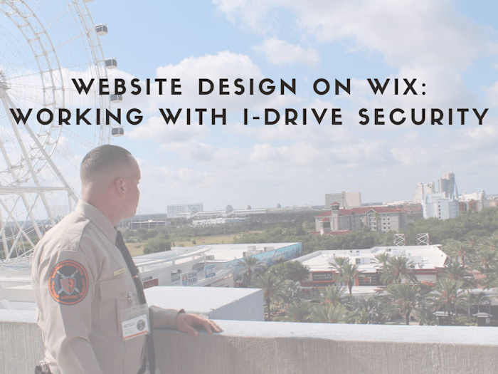 Website Design for I-Drive Security