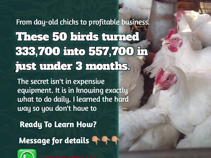 The Marketing Edge: How Smart Copy Turns Struggles into Sales