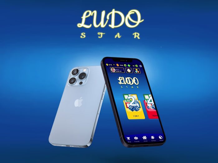 Ludo Game