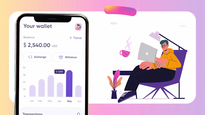 Fixel Pay Explainer by amin_rocking