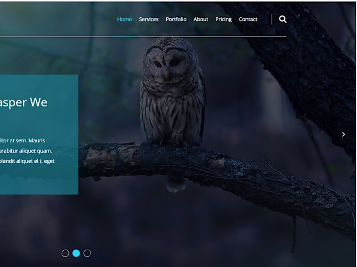 My GitHub site 