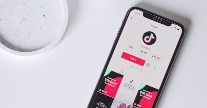 5 TikTok Marketing Strategies from Top TikTok Creators