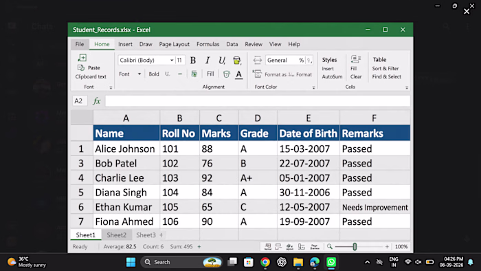 Excel Data Entry Sample