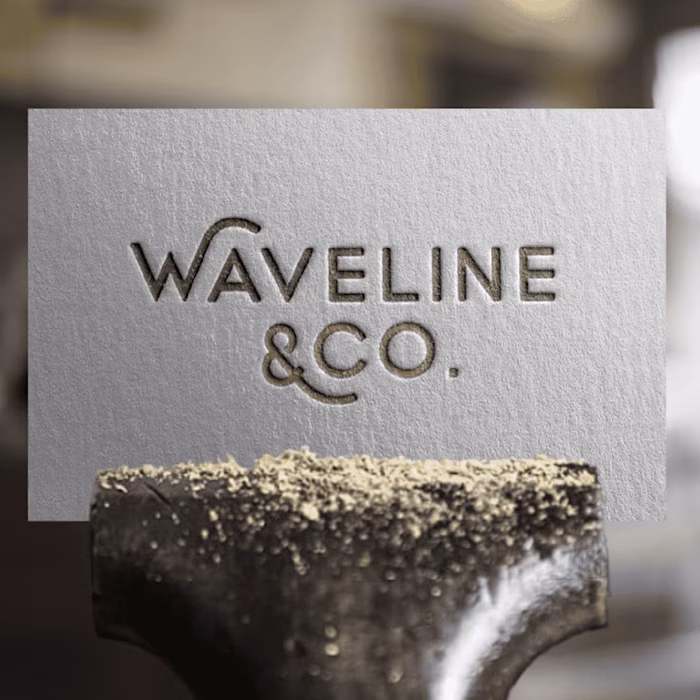 Waveline & Co. • Hardware Haven • Brand Design