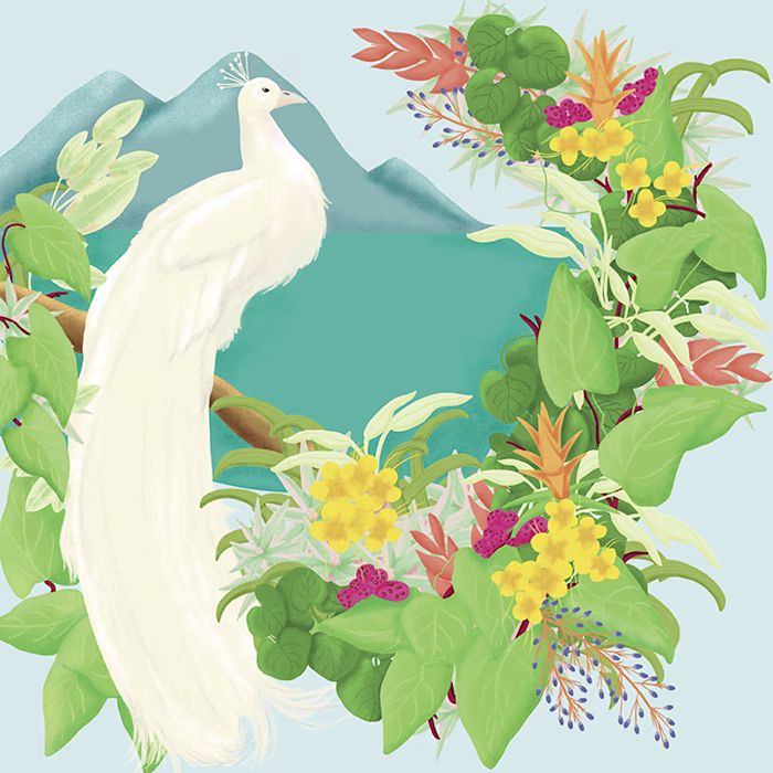 Peacock Paradise