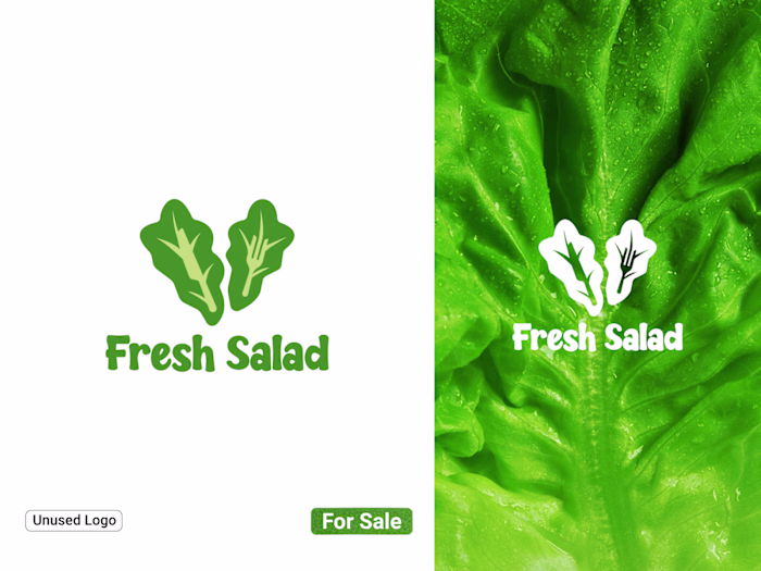 Fresh Salad – Organic Food,