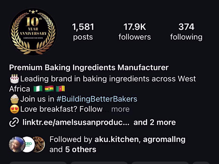 Elevating Brand Awareness for Amel Susan Products