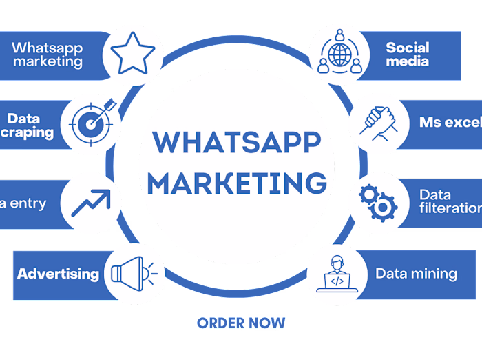 Revolutionize Your Marketing Strategy with Our Professional What