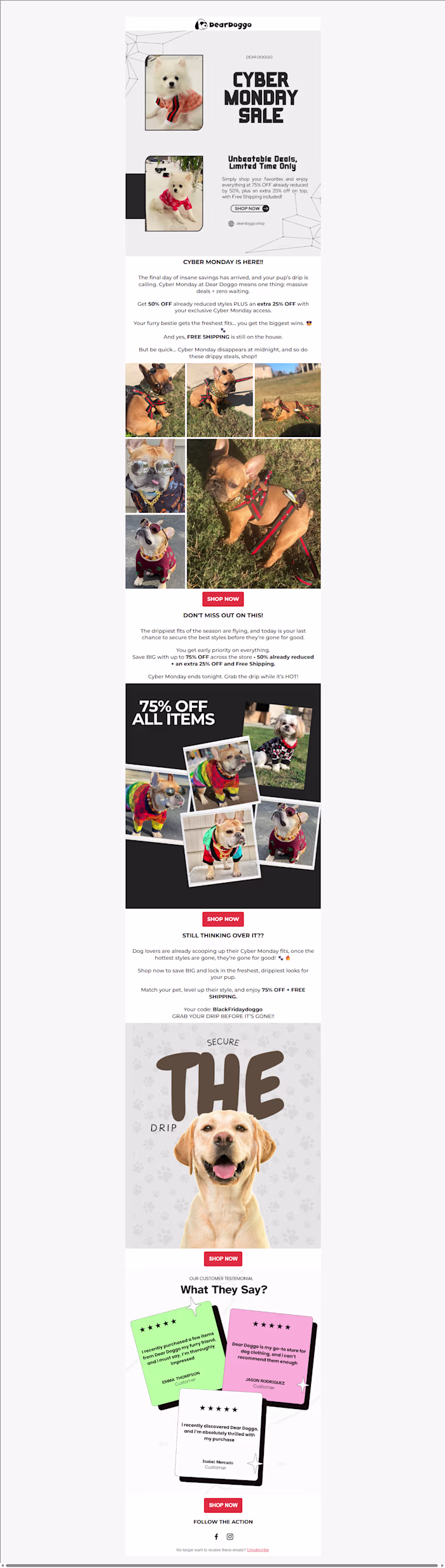 Cyber Monday Email Campaign For Ecommerce Brand