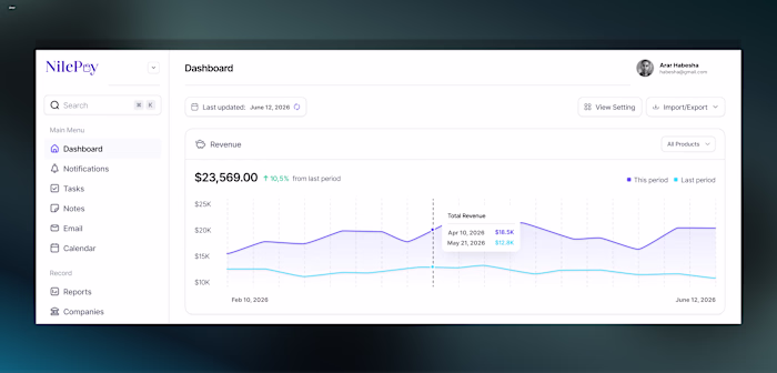 NilePay fintech dashboard design. This