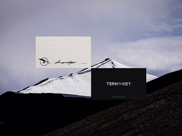 Tern Key — Visual Identity