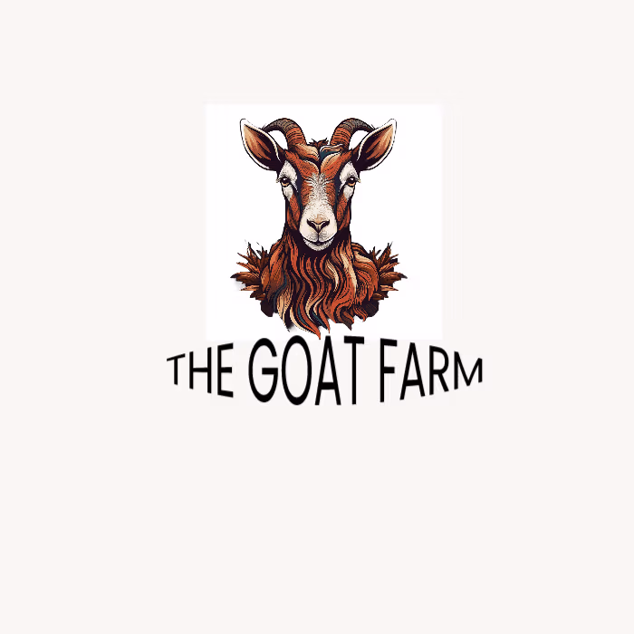 logo design and brand designing