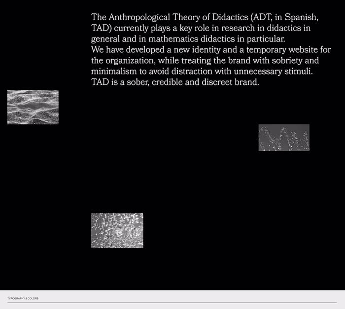 Brand Identity & Website design — TAD