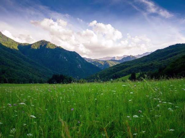 Live Life Fully: Your Personal Journey to Empowerment