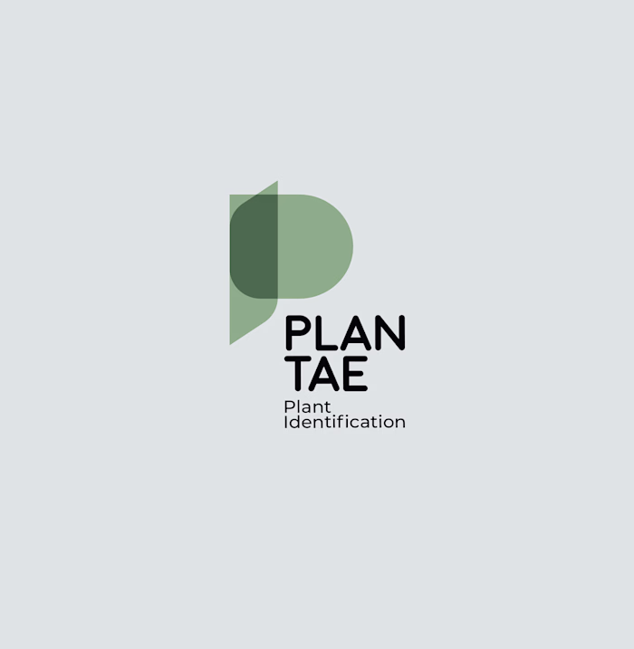 Branding Plantae 