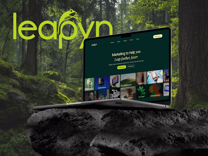 Leapyn — 70+ Page Webflow Build with CMS & SEO