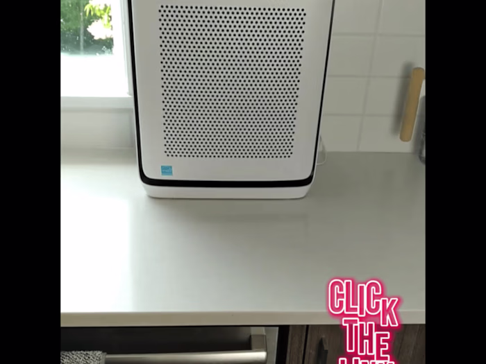 TikTok Ads