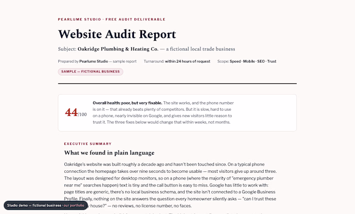 Website Audit Report — Speed, SEO, Mobile & Trust