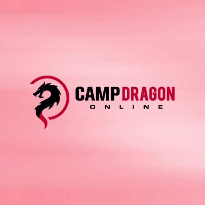 Camp Dragon Online: UI/UX Design and PHP Development