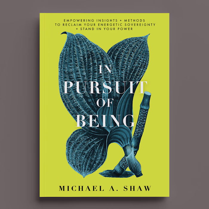 Book Sleeve Design