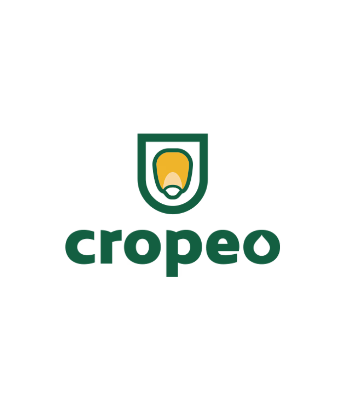CropEO
~ Brand Identity & Graphic