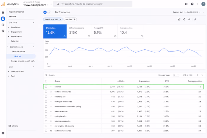 🚀 SEO Success Story –