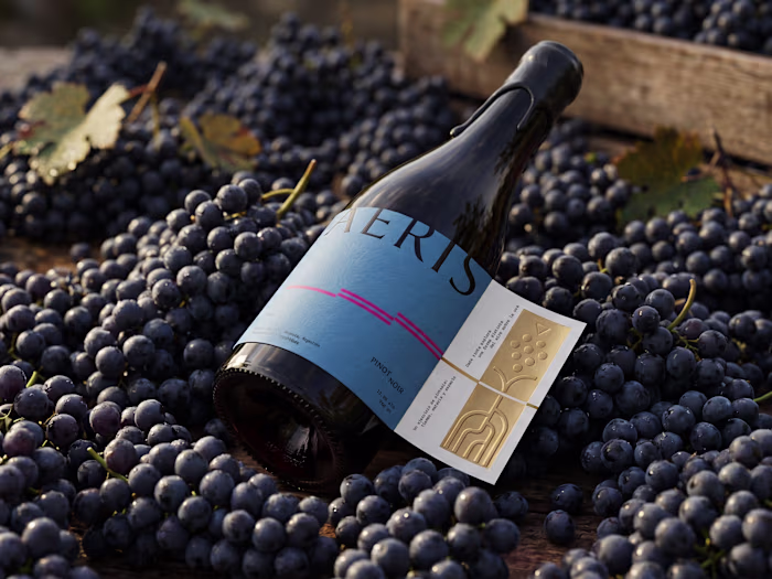 Aeris Wine — Label System