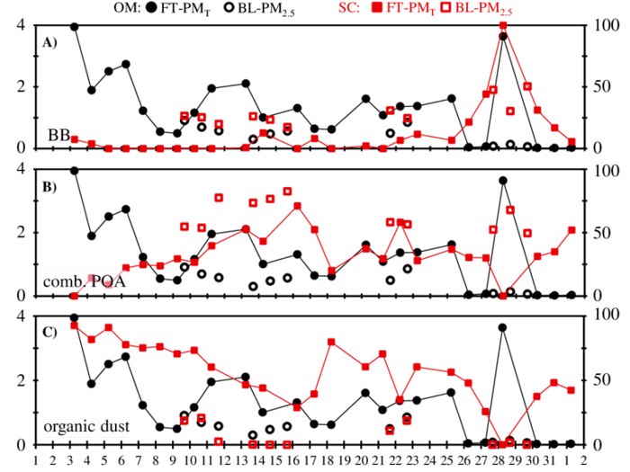 Project on Anomaly Detection using Graph Neural Networks