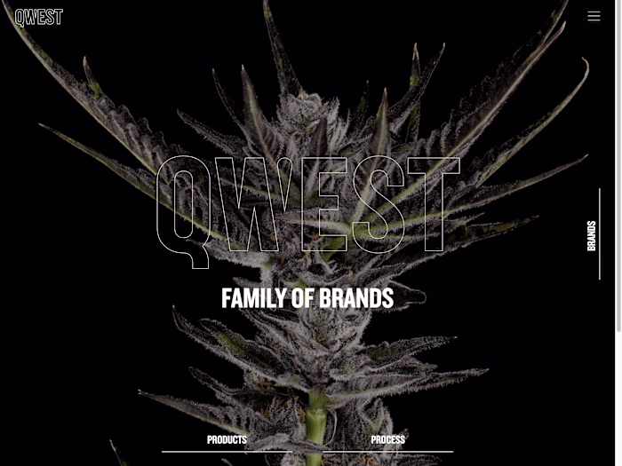 Qwest Cannabis