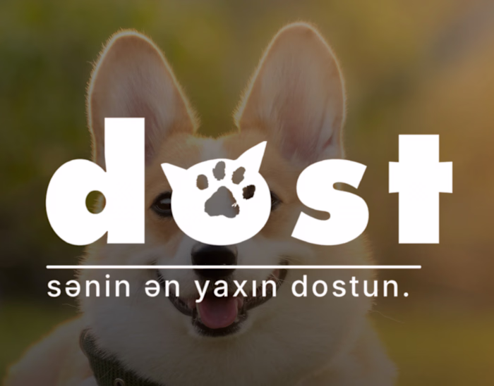 dost - Branding and Packaking Design