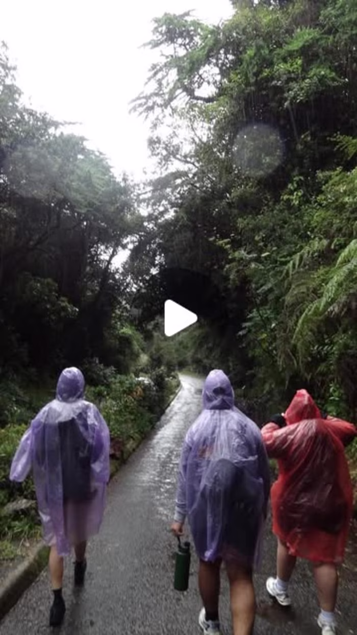Costa Rica Travel Reel (IG)