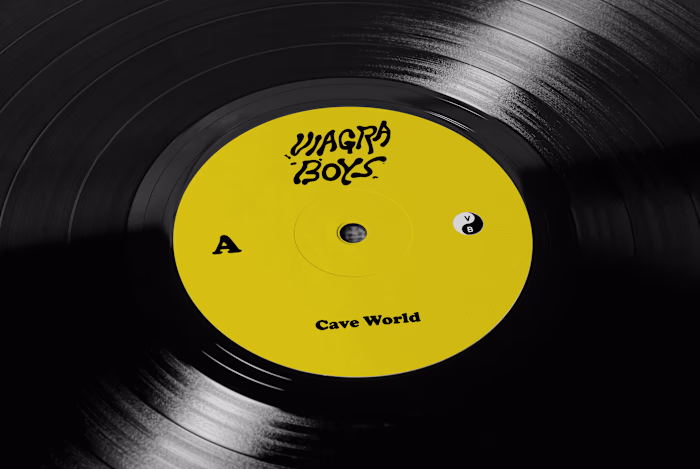 Vinyl Design
