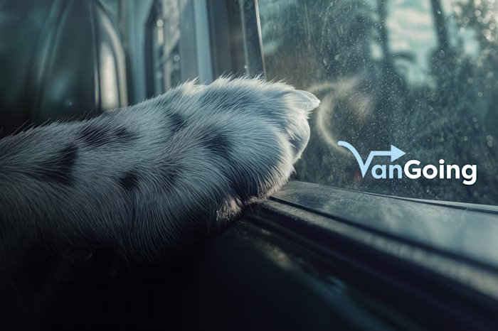 VanGoing: Branding a Cure for Soulless Travel