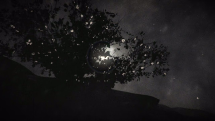 The Tree in the Storm