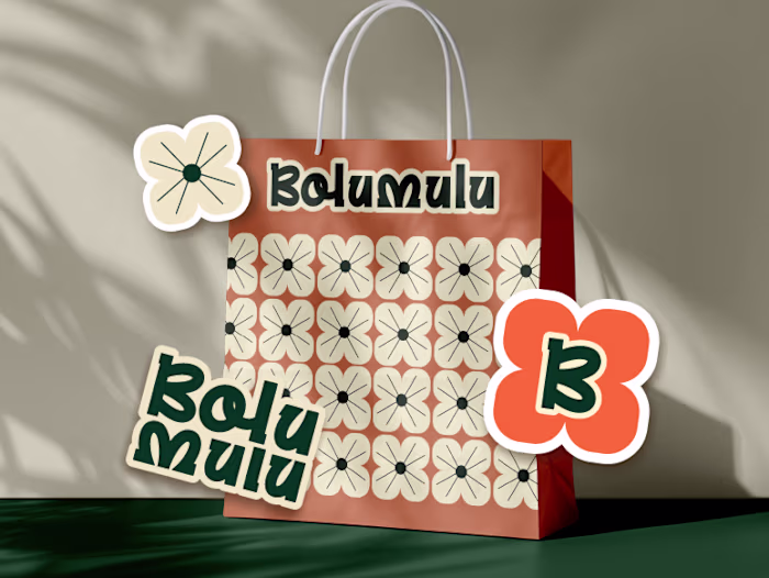 LOGO DESIGN-BOLUMULU
