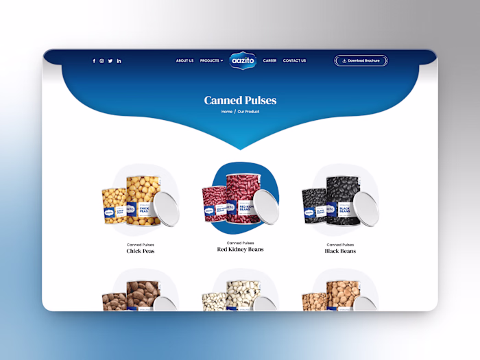 Built a Multi-Category B2B Food Export Website for Aazito