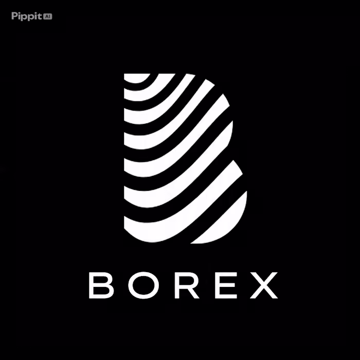 BOREX .... Lofo design for