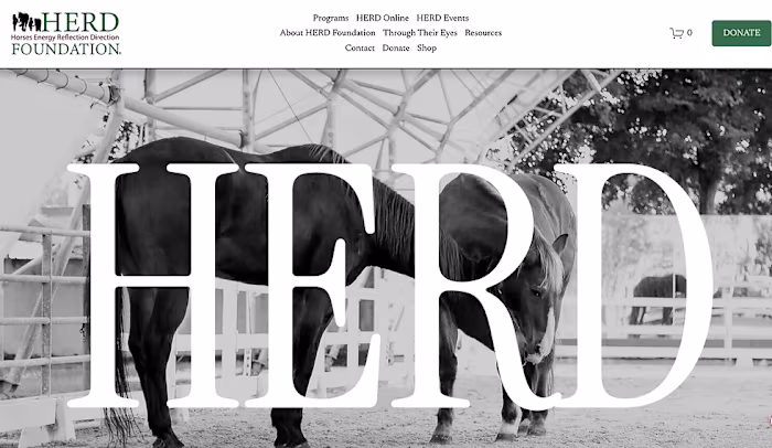 Website Design & Maintenance for Herd Foundation