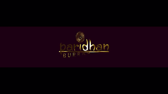 PARIDHAN LOGO ANIMATION FOR LED SCREEN - YouTube