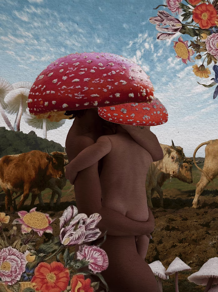 Digital Collages | Personal Project