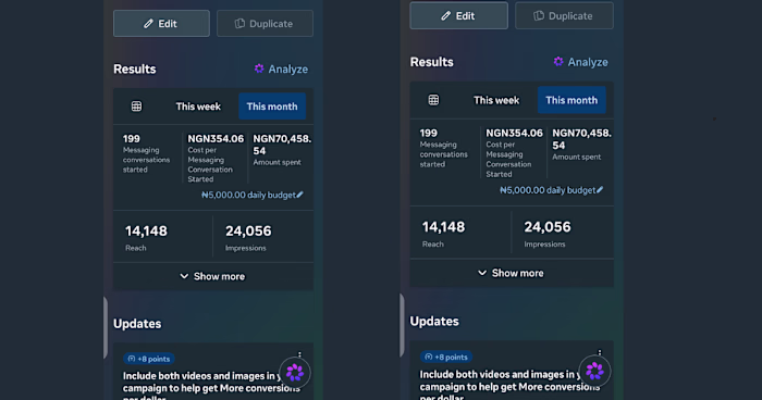 Meta Ads Performance Audit and Optimization