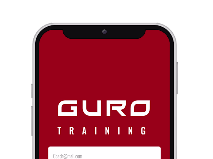 GURO Box | Visual Designer - Developer