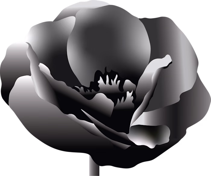 FLOWER ASSETS