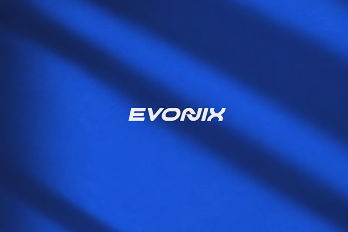 EVONIX — Logo & Brand Identity