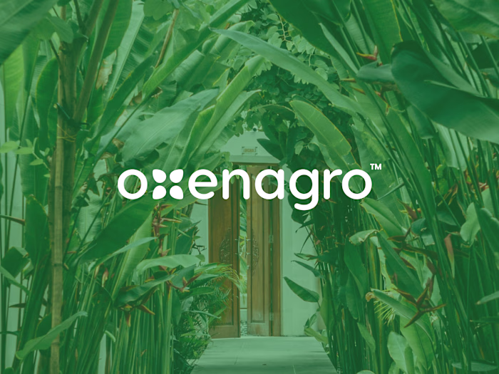 Oxenagro - Gardening Tutorials, Tools, and Seeds