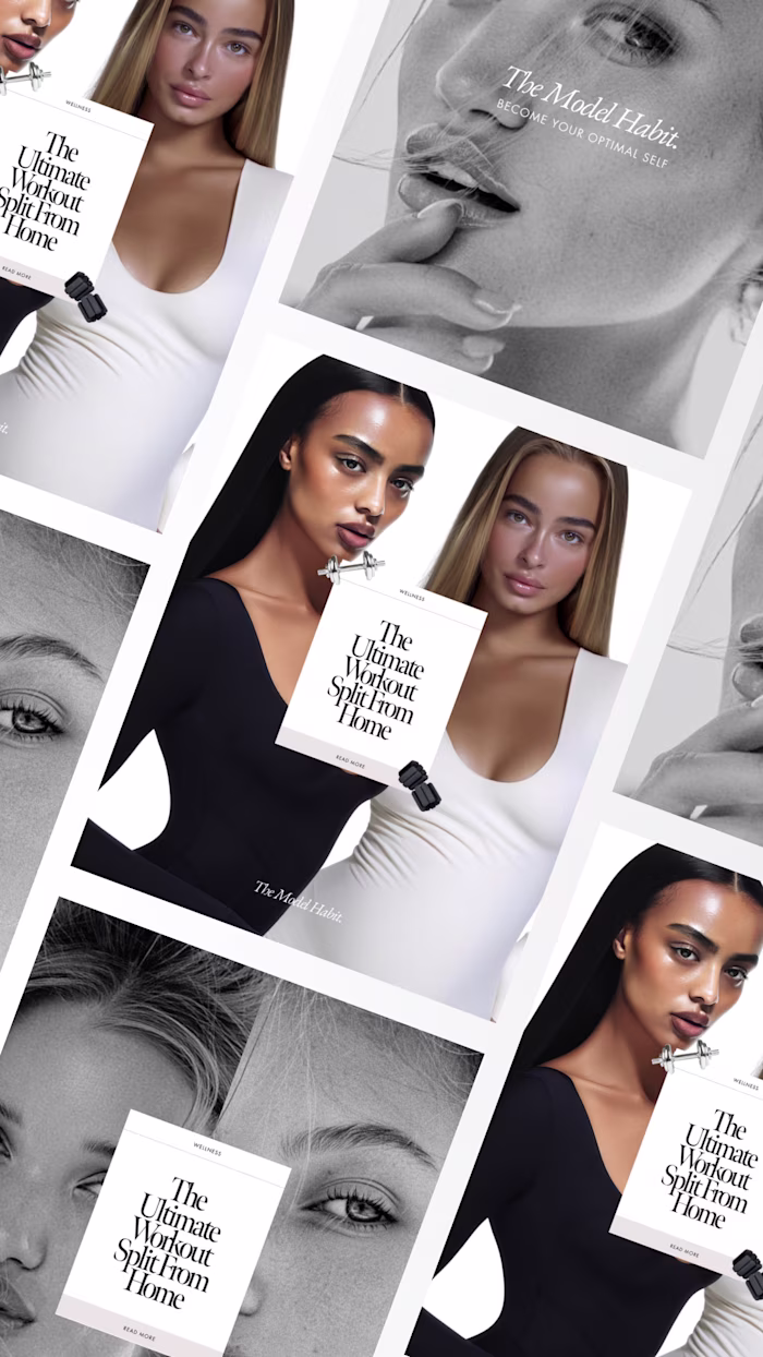 The Model Habit - Branding, Wordpress Website + Social Templates