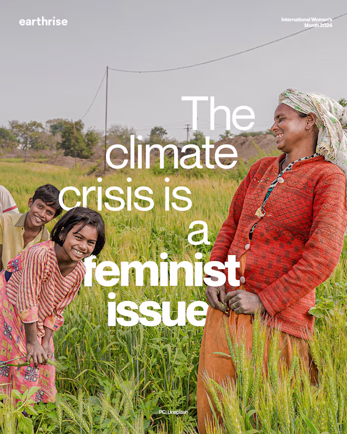 Editorial design for climate storytelling