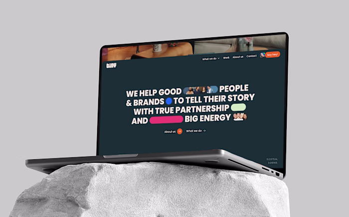Tiny Studios Website Design